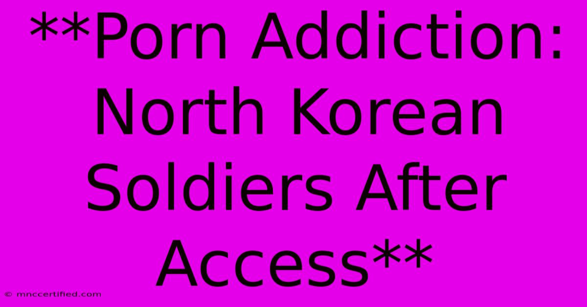 **Porn Addiction: North Korean Soldiers After Access**