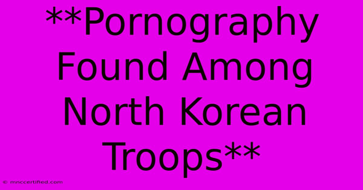 **Pornography Found Among North Korean Troops**