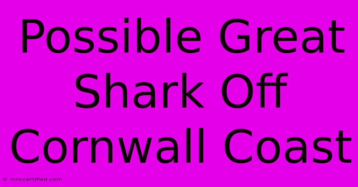 Possible Great Shark Off Cornwall Coast