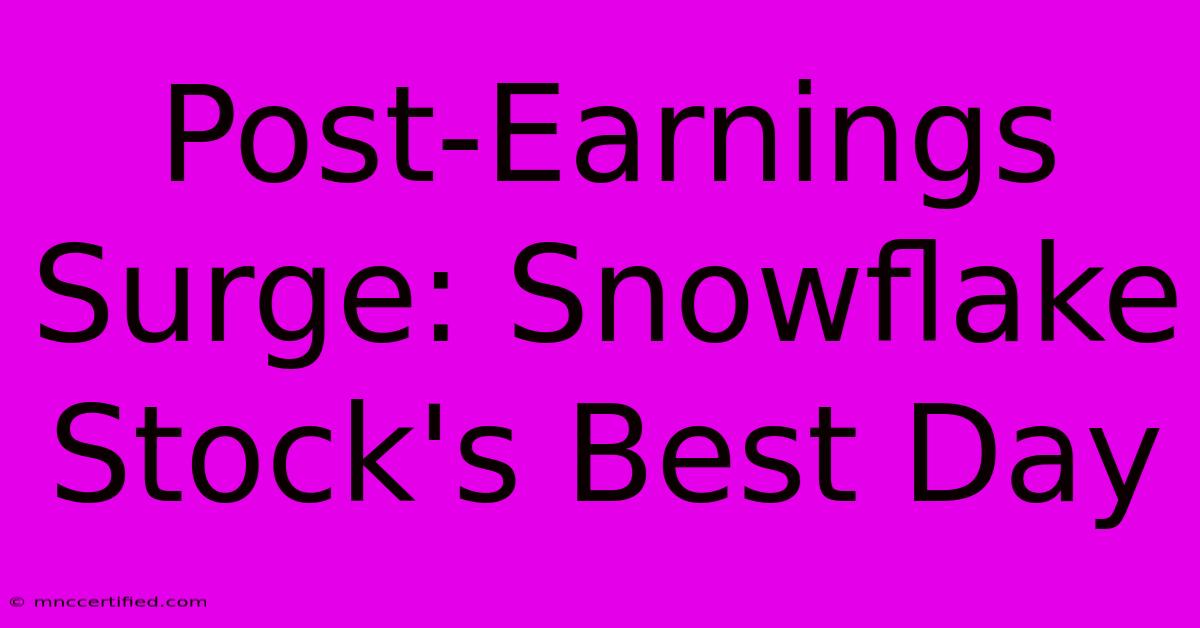 Post-Earnings Surge: Snowflake Stock's Best Day