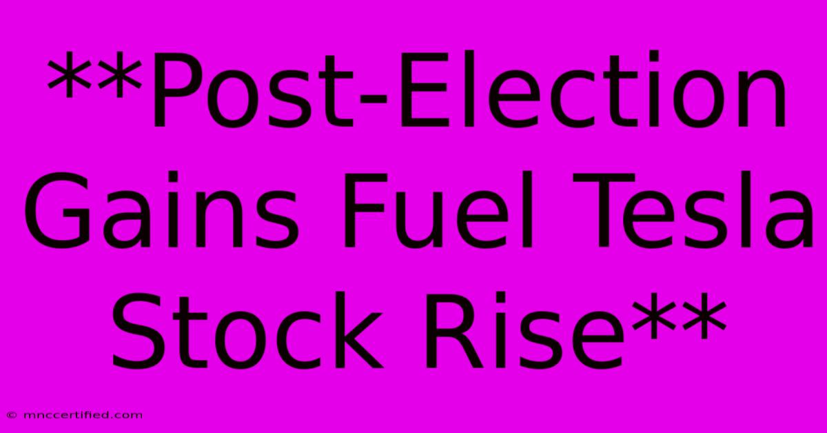 **Post-Election Gains Fuel Tesla Stock Rise**