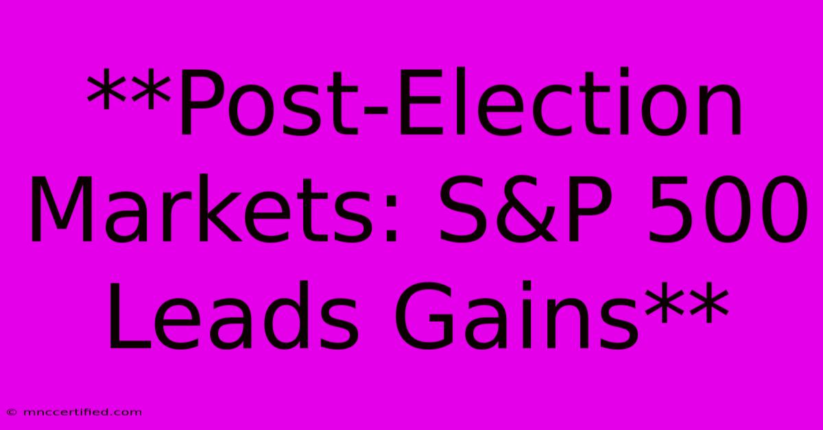 **Post-Election Markets: S&P 500  Leads Gains**