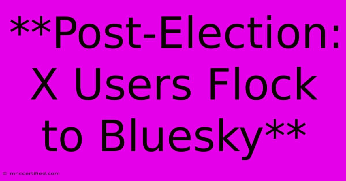 **Post-Election: X Users Flock To Bluesky**