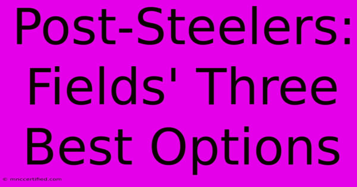 Post-Steelers: Fields' Three Best Options