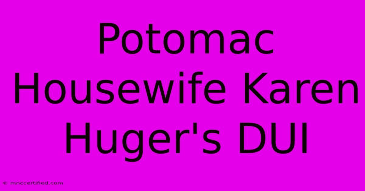 Potomac Housewife Karen Huger's DUI