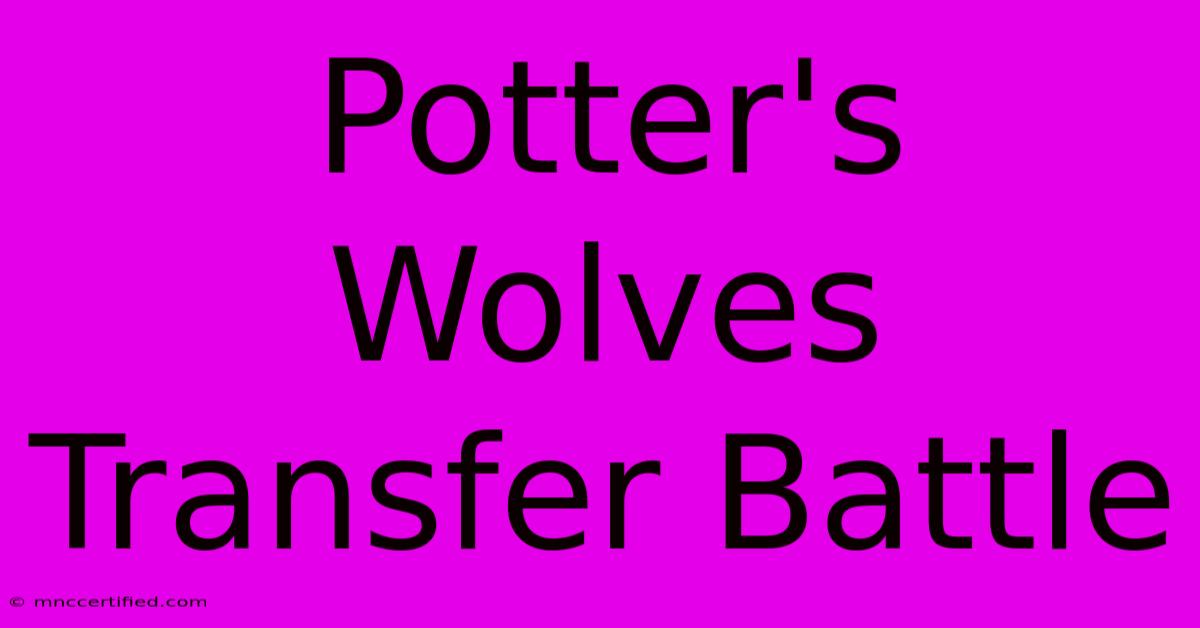 Potter's Wolves Transfer Battle