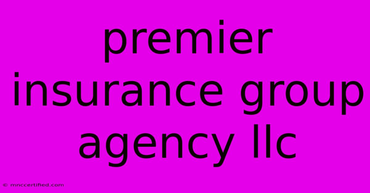 Premier Insurance Group Agency Llc