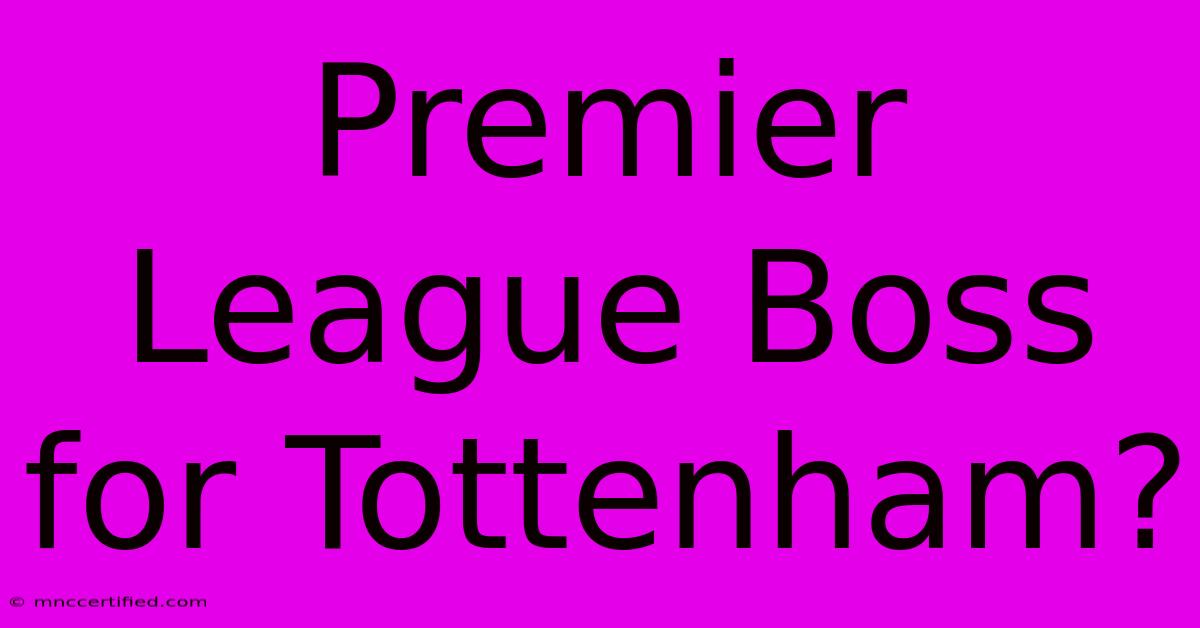 Premier League Boss For Tottenham?