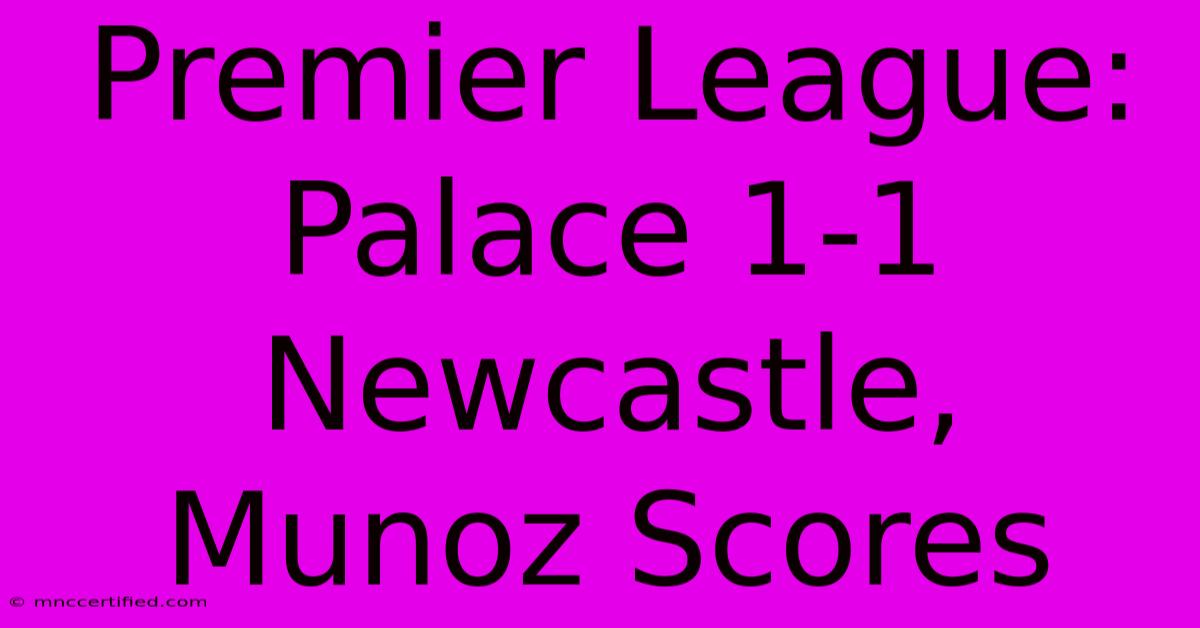 Premier League: Palace 1-1 Newcastle, Munoz Scores