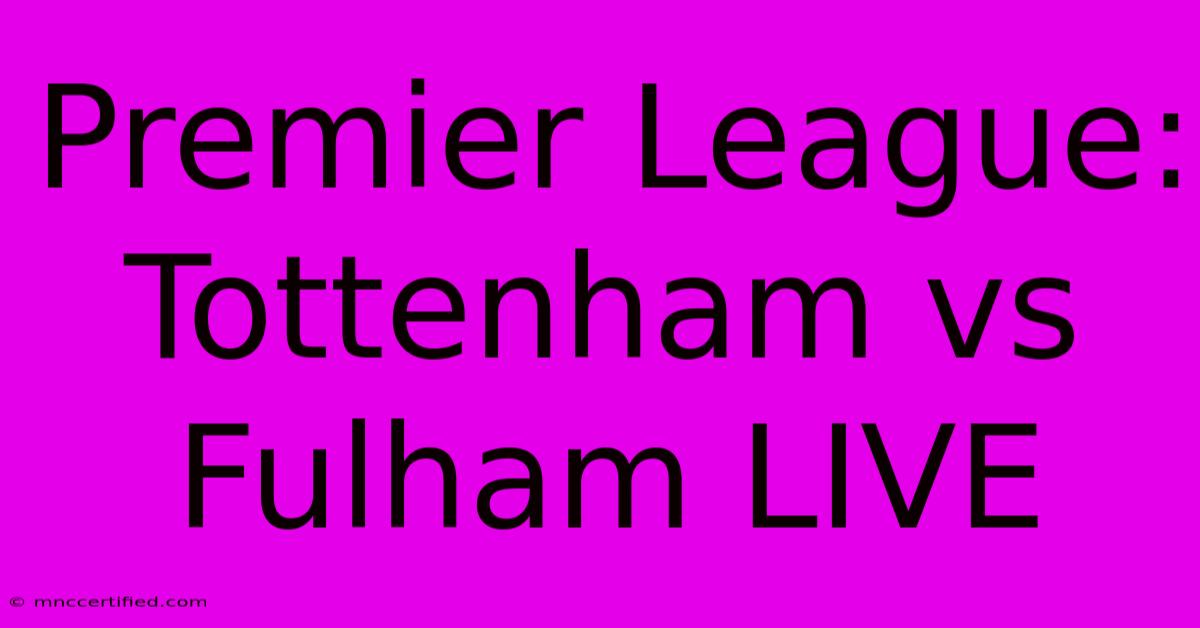 Premier League: Tottenham Vs Fulham LIVE