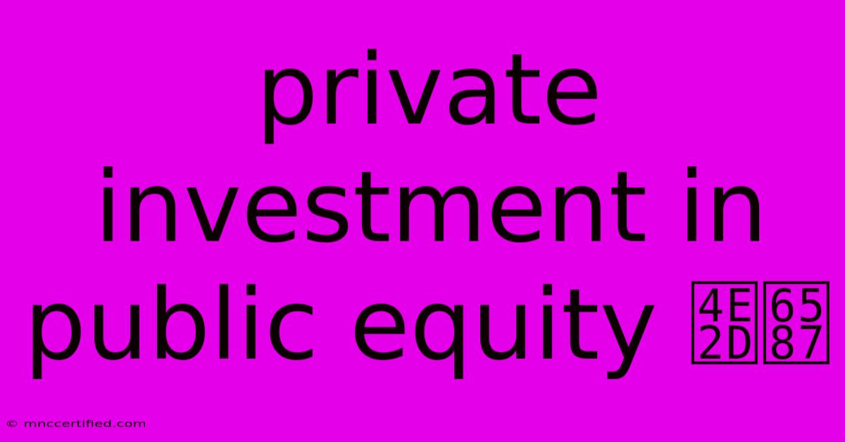 Private Investment In Public Equity 中文