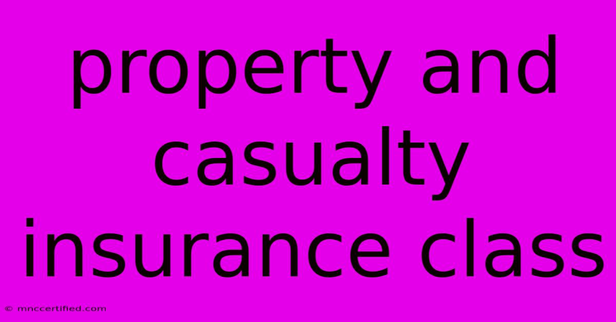 Property And Casualty Insurance Class