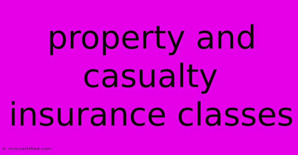 Property And Casualty Insurance Classes