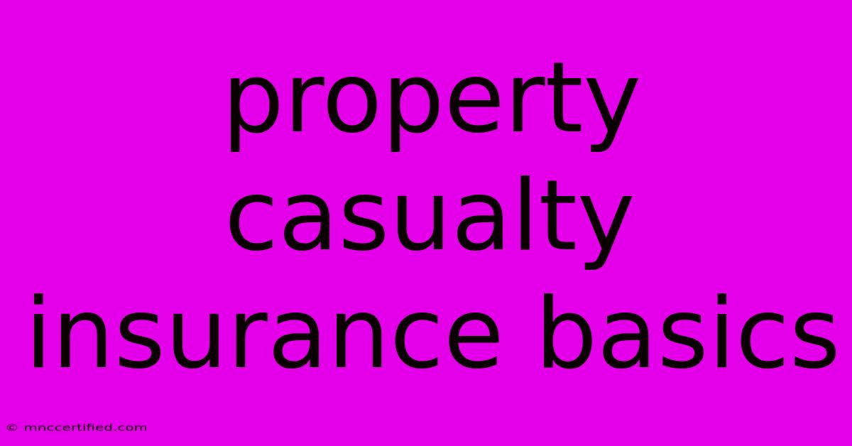 Property Casualty Insurance Basics