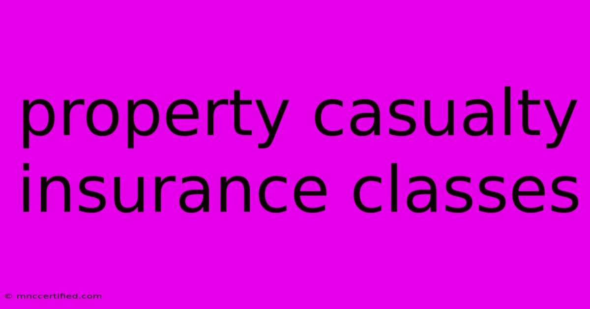 Property Casualty Insurance Classes