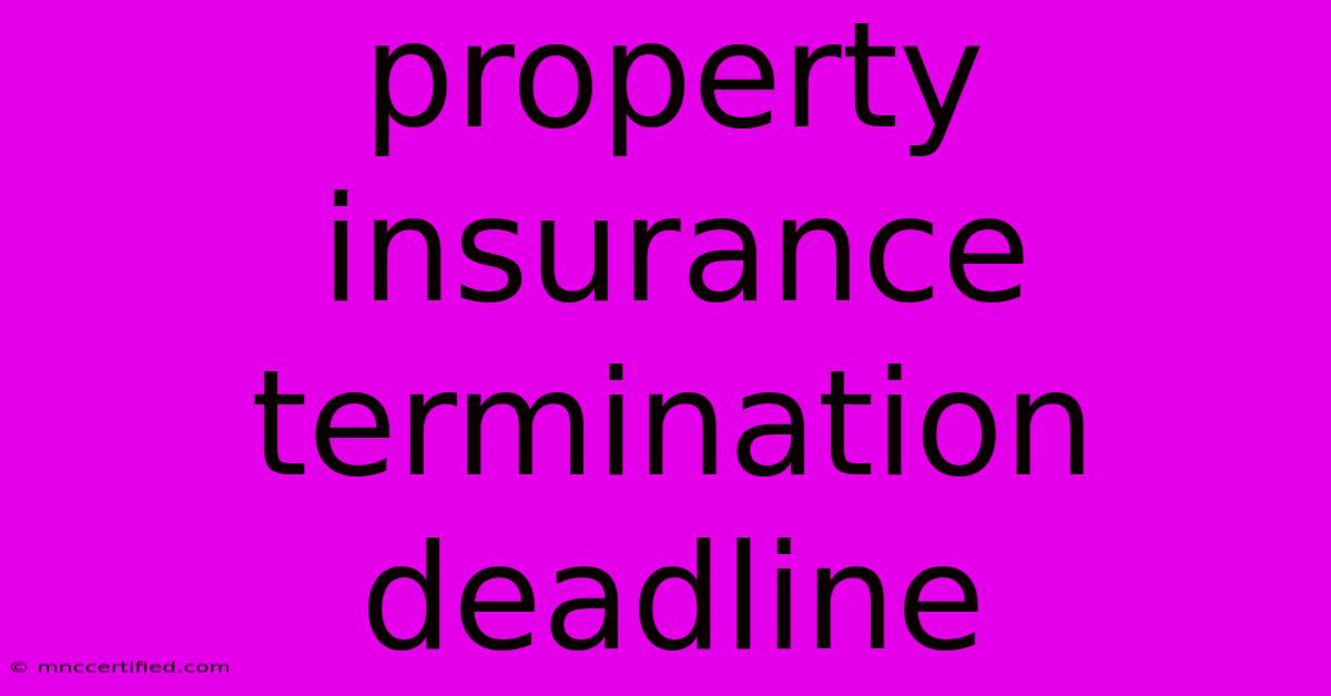 Property Insurance Termination Deadline