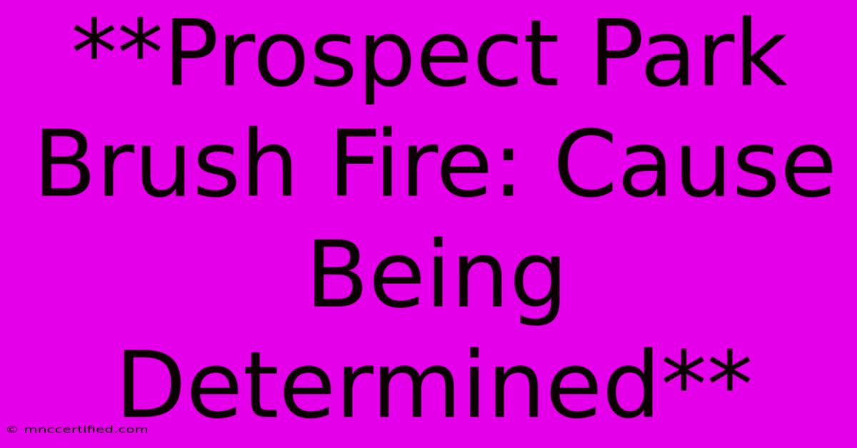 **Prospect Park Brush Fire: Cause Being Determined** 