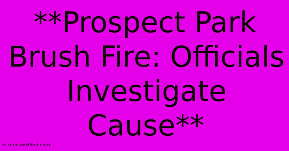 **Prospect Park Brush Fire: Officials Investigate Cause**