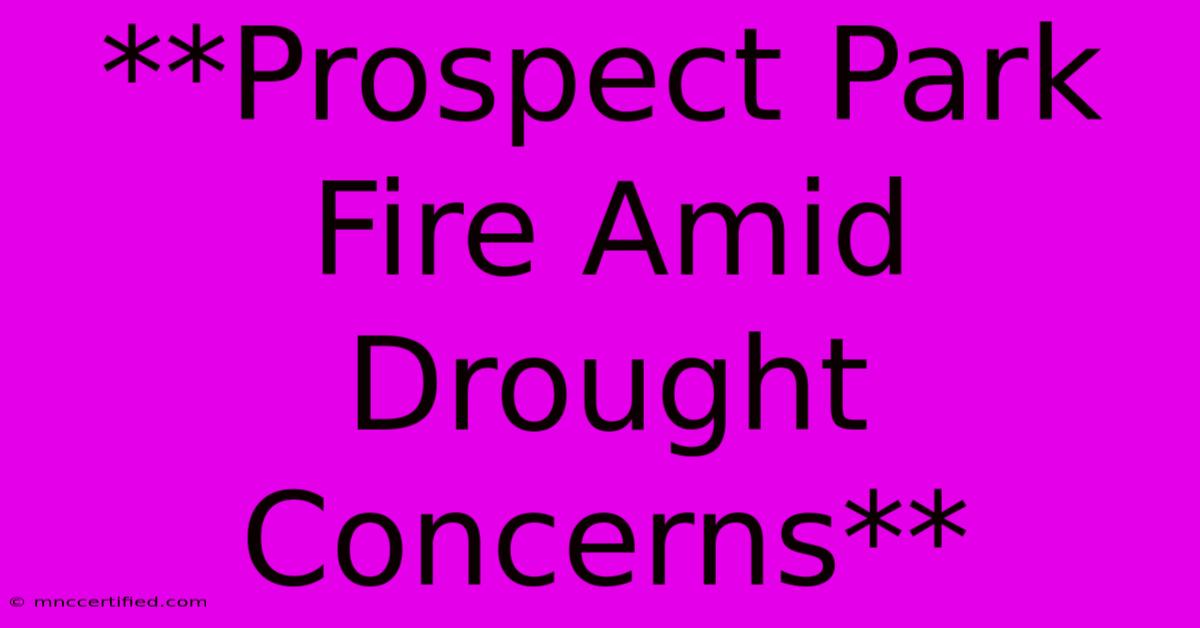 **Prospect Park Fire Amid Drought Concerns**