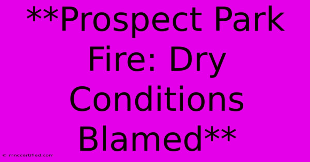 **Prospect Park Fire: Dry Conditions Blamed** 