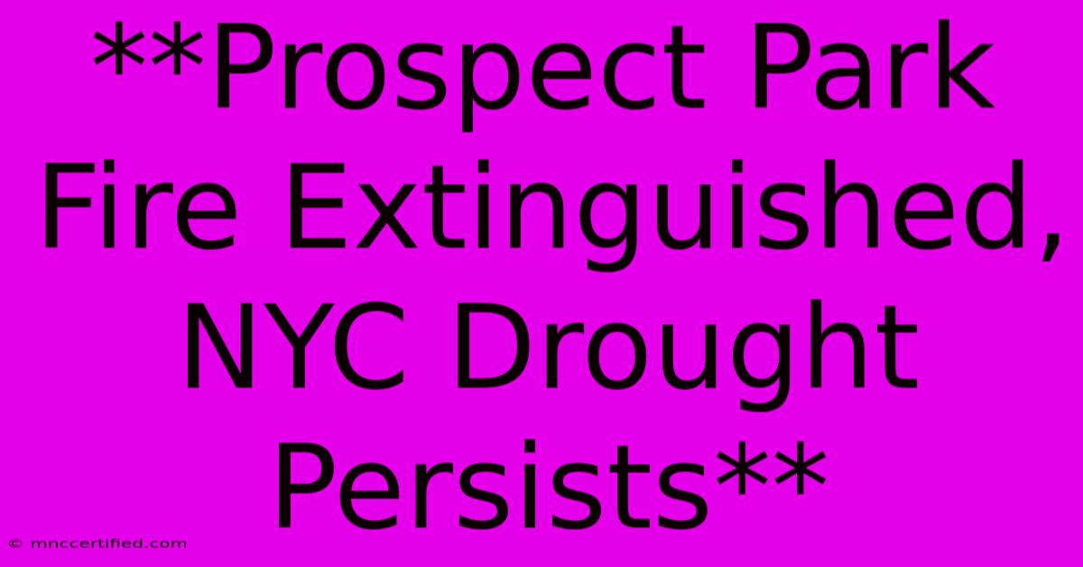 **Prospect Park Fire Extinguished, NYC Drought Persists**