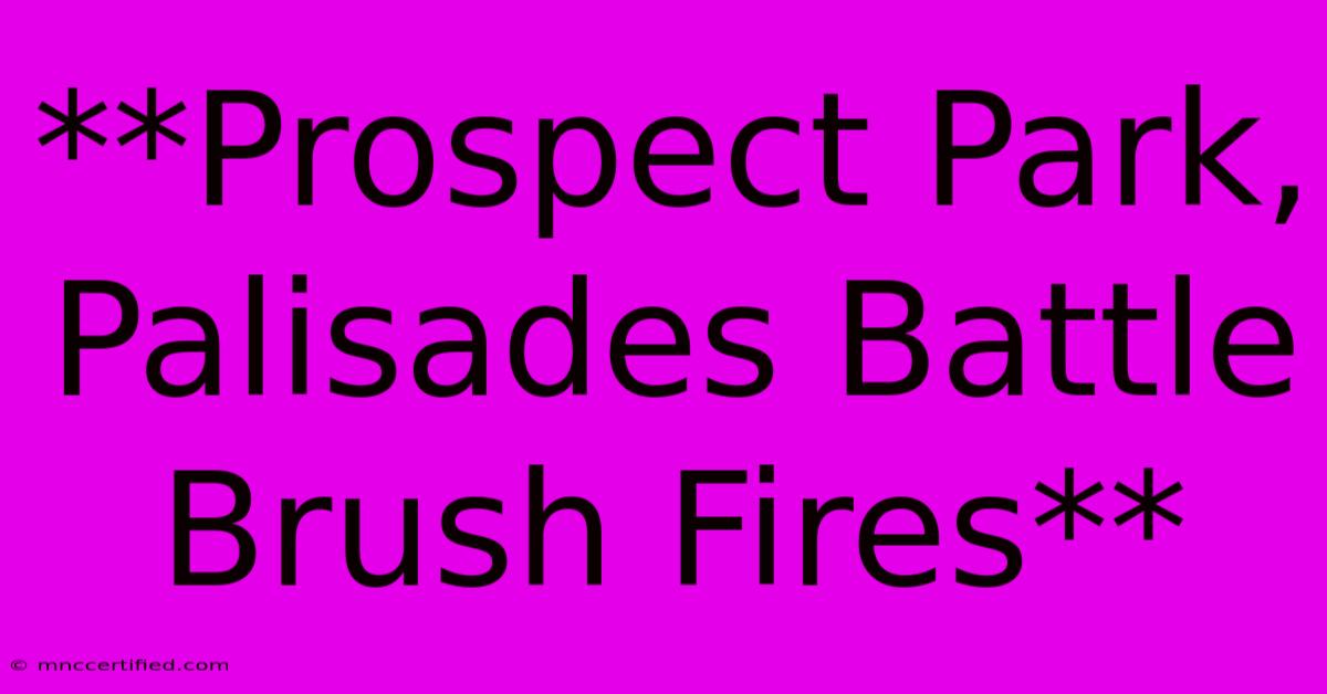 **Prospect Park, Palisades Battle Brush Fires** 