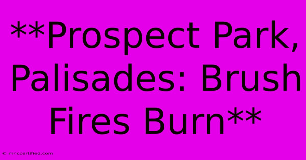 **Prospect Park, Palisades: Brush Fires Burn**