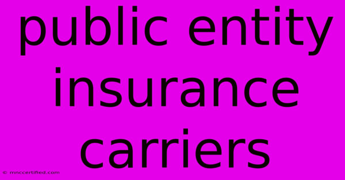 Public Entity Insurance Carriers