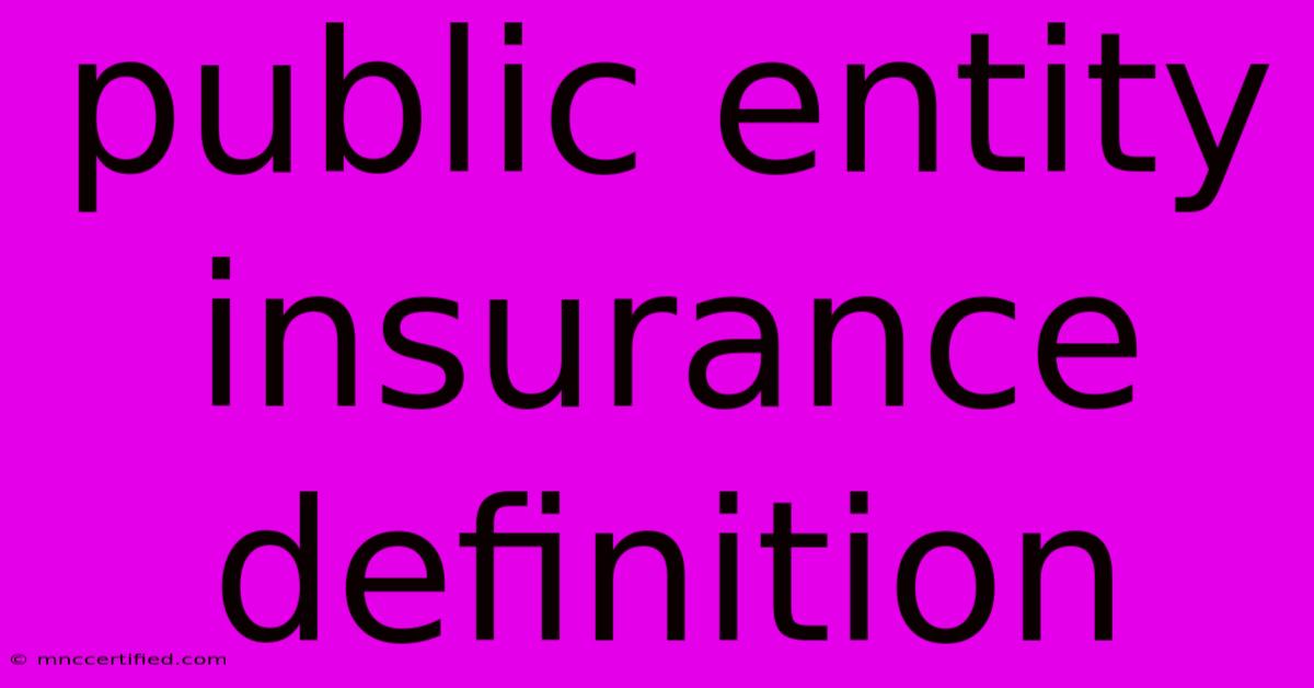 Public Entity Insurance Definition