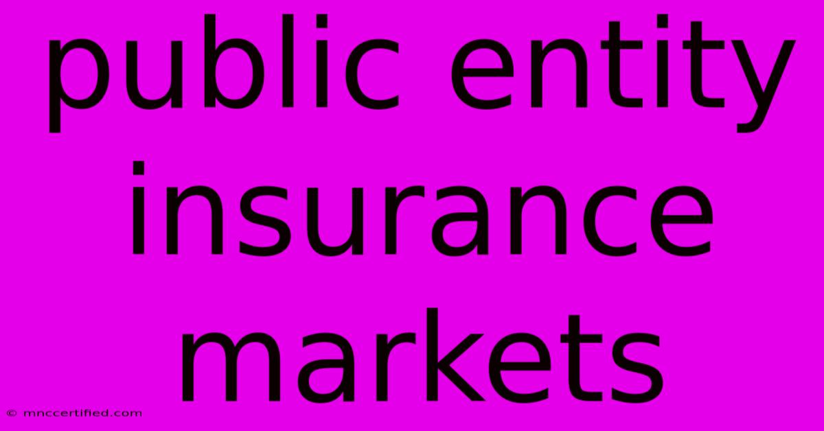 Public Entity Insurance Markets