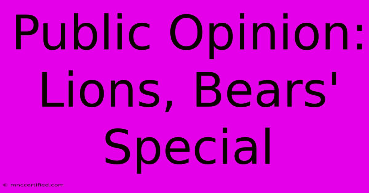 Public Opinion: Lions, Bears' Special