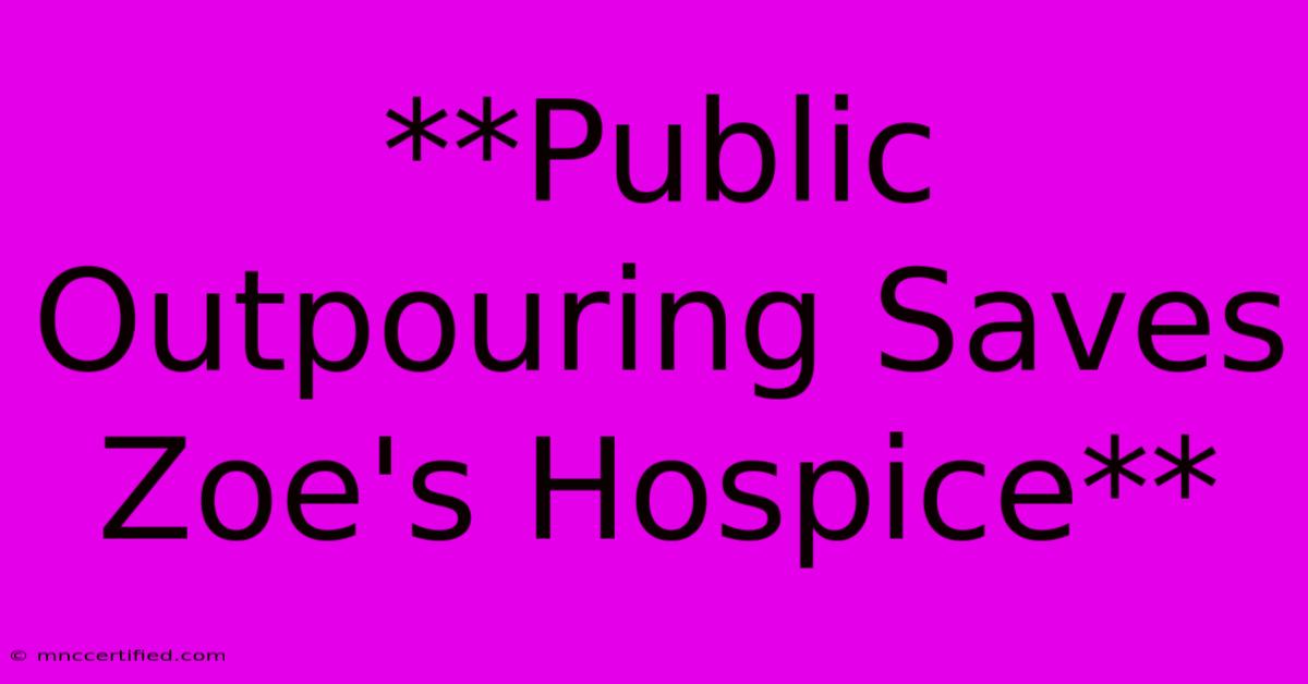 **Public Outpouring Saves Zoe's Hospice**