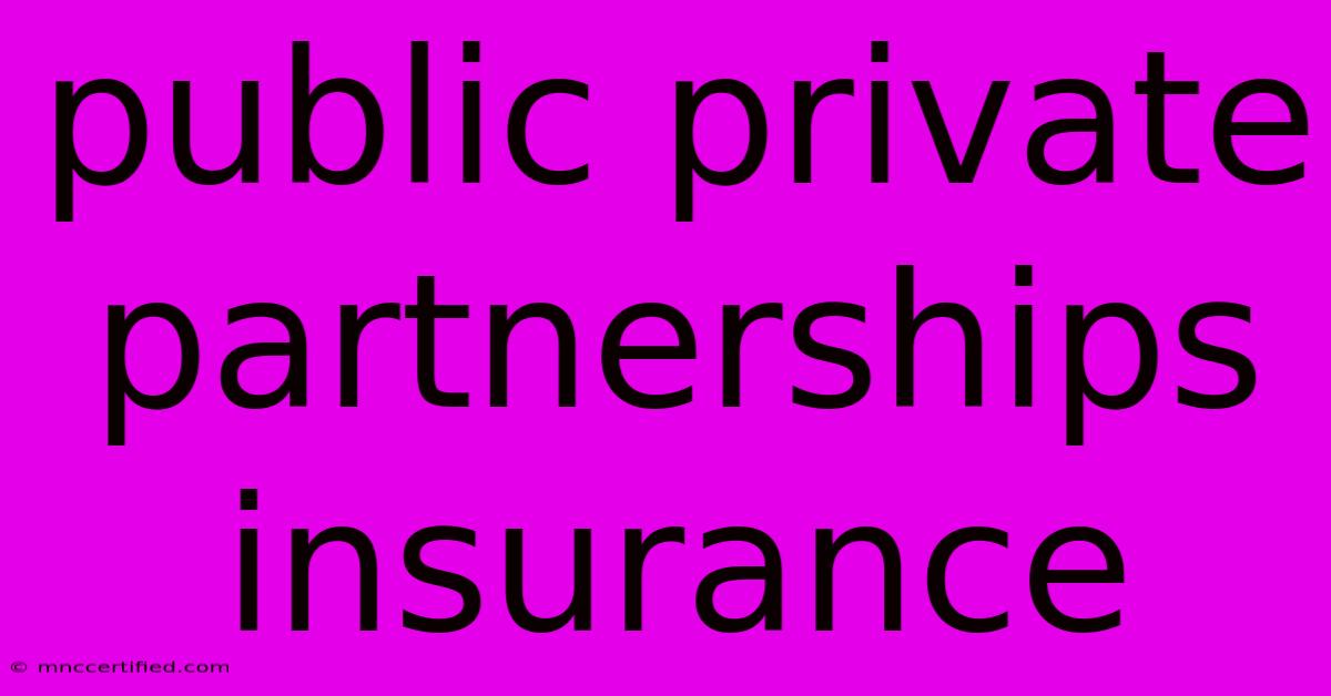 Public Private Partnerships Insurance