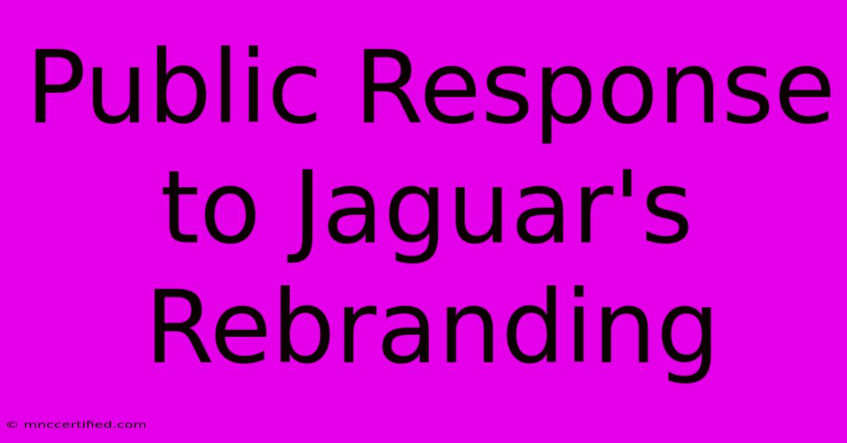 Public Response To Jaguar's Rebranding