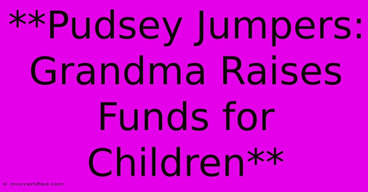 **Pudsey Jumpers: Grandma Raises Funds For Children**