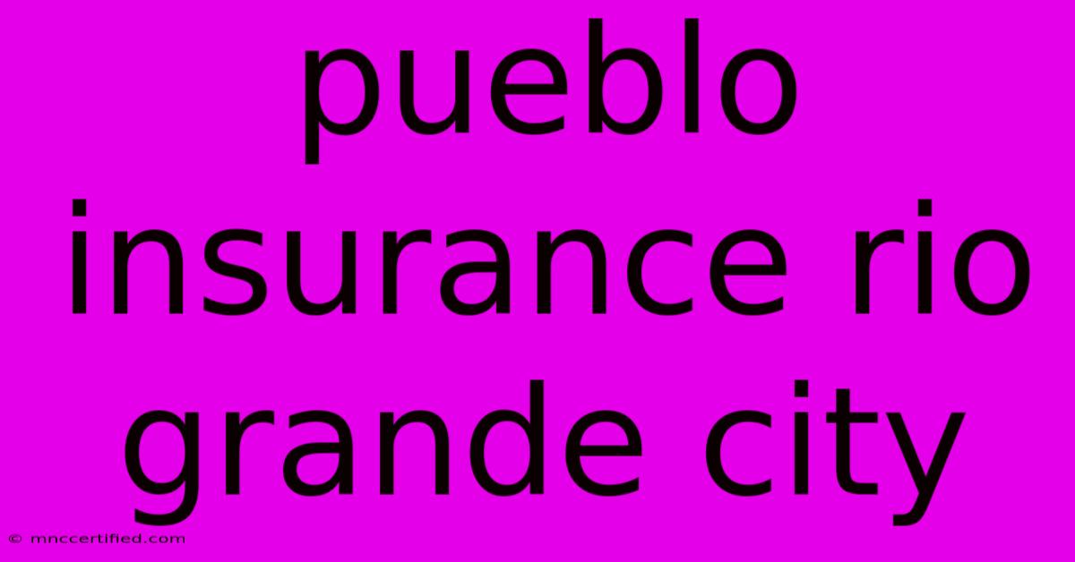 Pueblo Insurance Rio Grande City