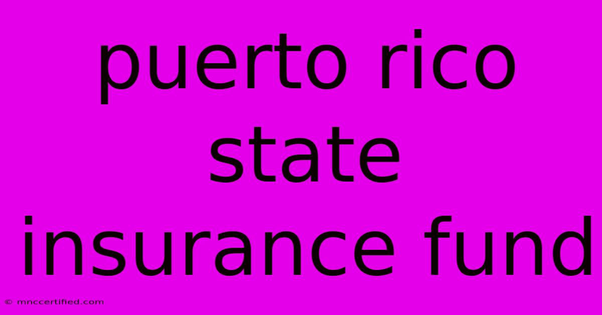 Puerto Rico State Insurance Fund