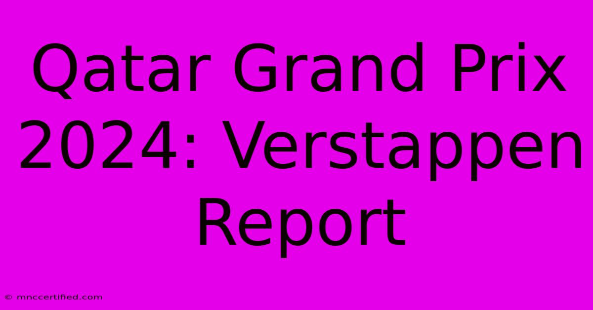 Qatar Grand Prix 2024: Verstappen Report