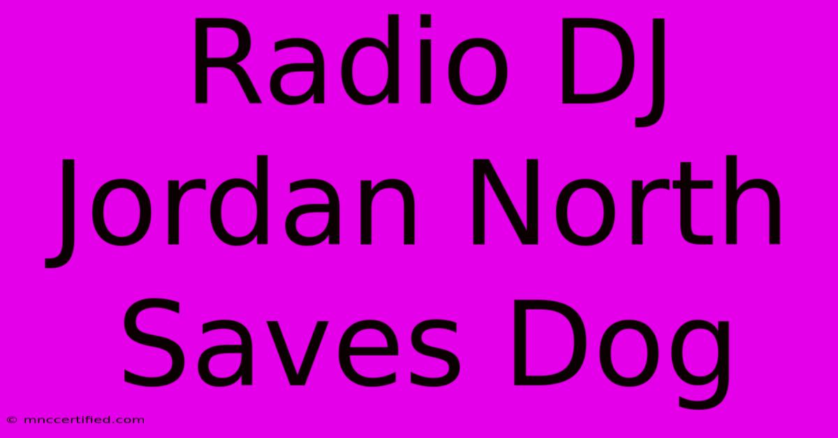 Radio DJ Jordan North Saves Dog