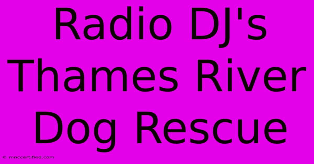 Radio DJ's Thames River Dog Rescue