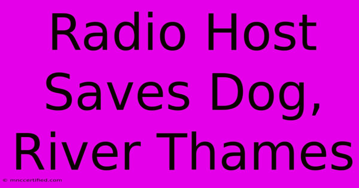 Radio Host Saves Dog, River Thames