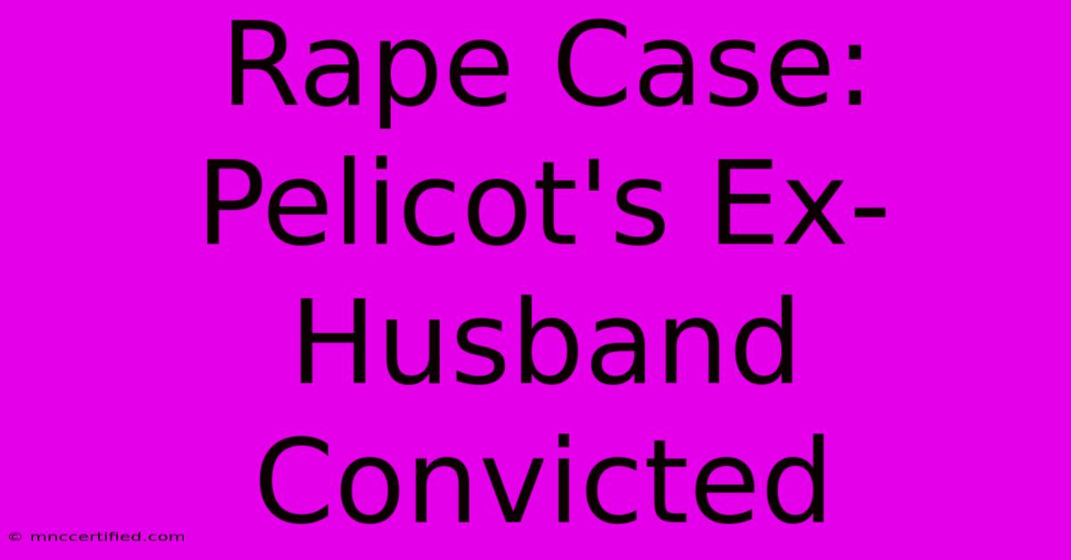 Rape Case: Pelicot's Ex-Husband Convicted