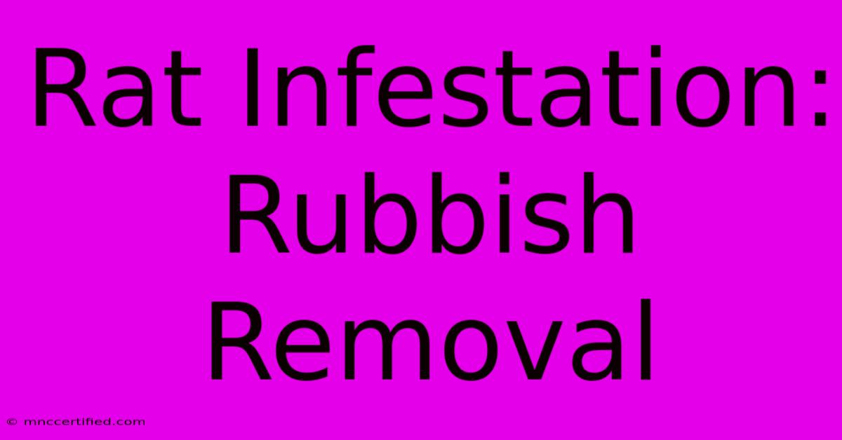 Rat Infestation: Rubbish Removal