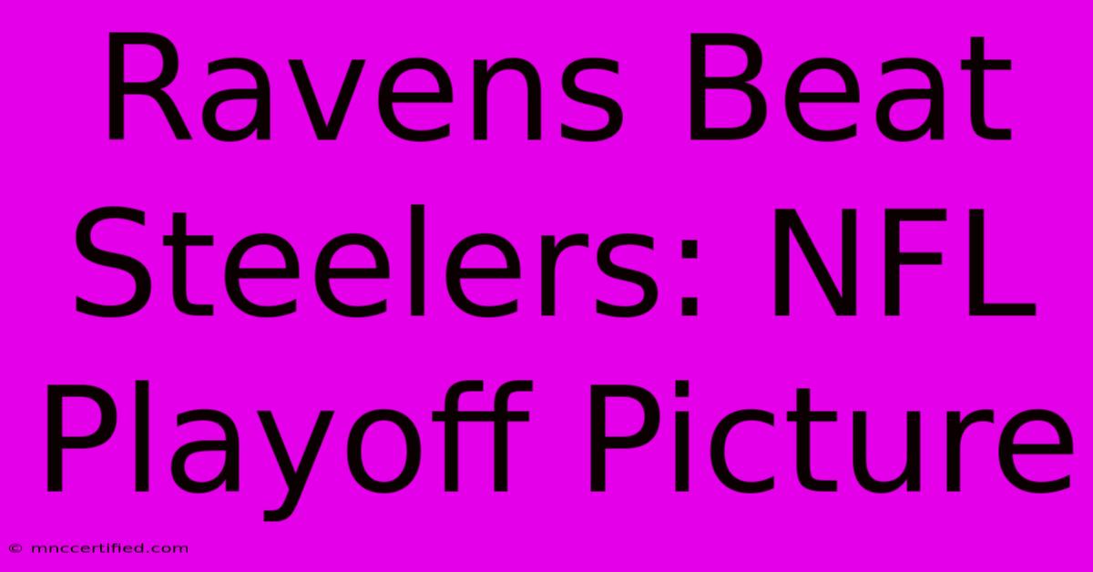 Ravens Beat Steelers: NFL Playoff Picture