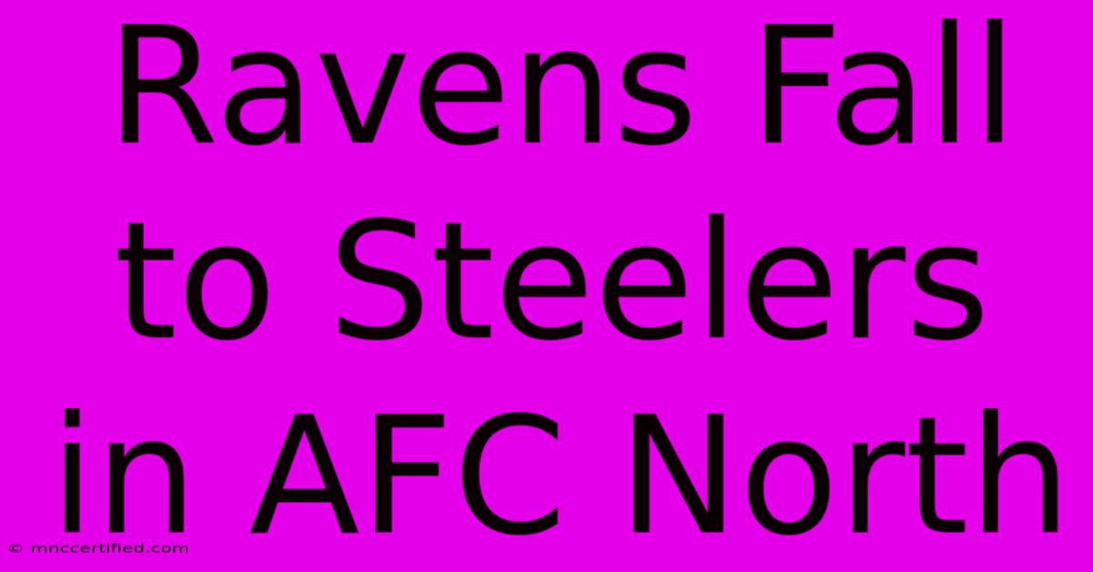 Ravens Fall To Steelers In AFC North