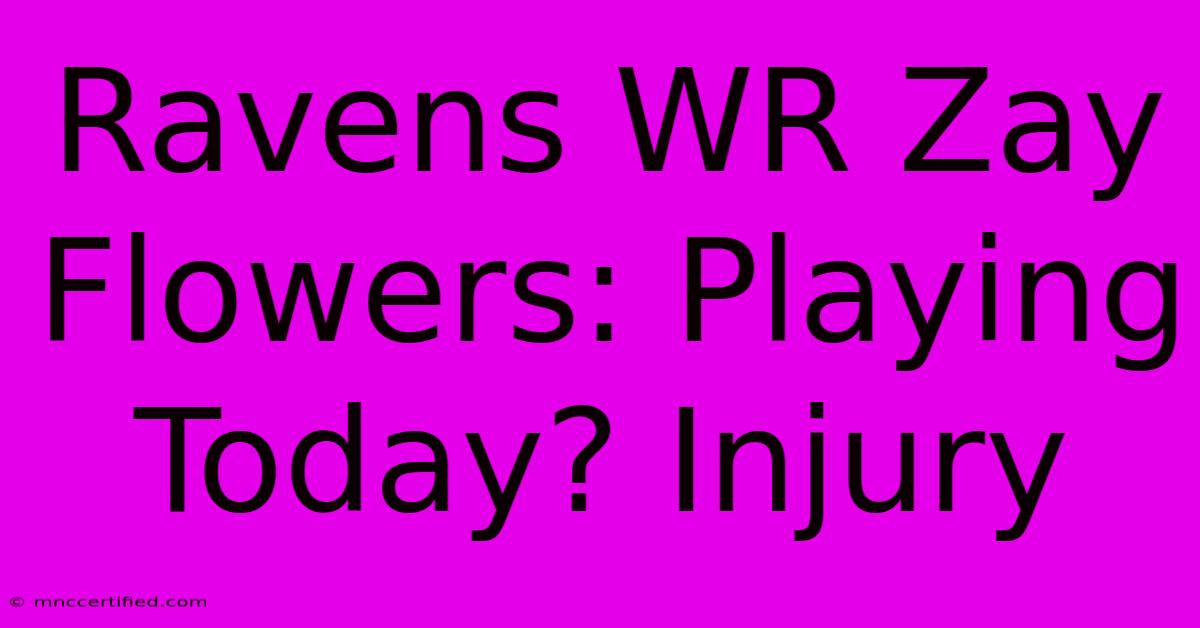 Ravens WR Zay Flowers: Playing Today? Injury