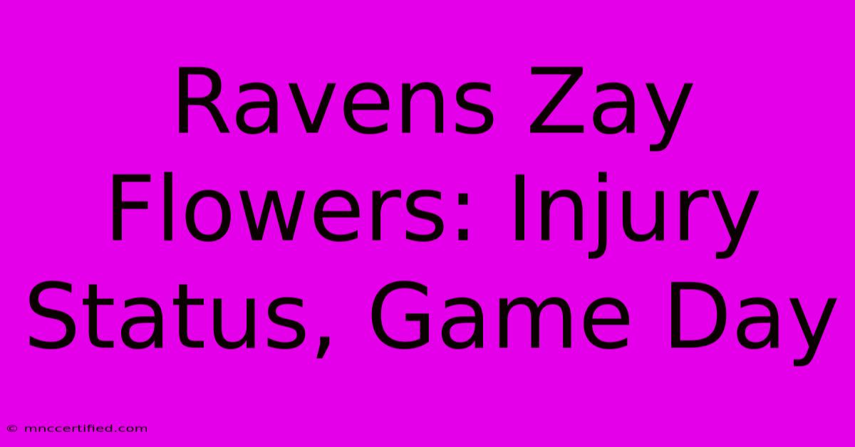 Ravens Zay Flowers: Injury Status, Game Day