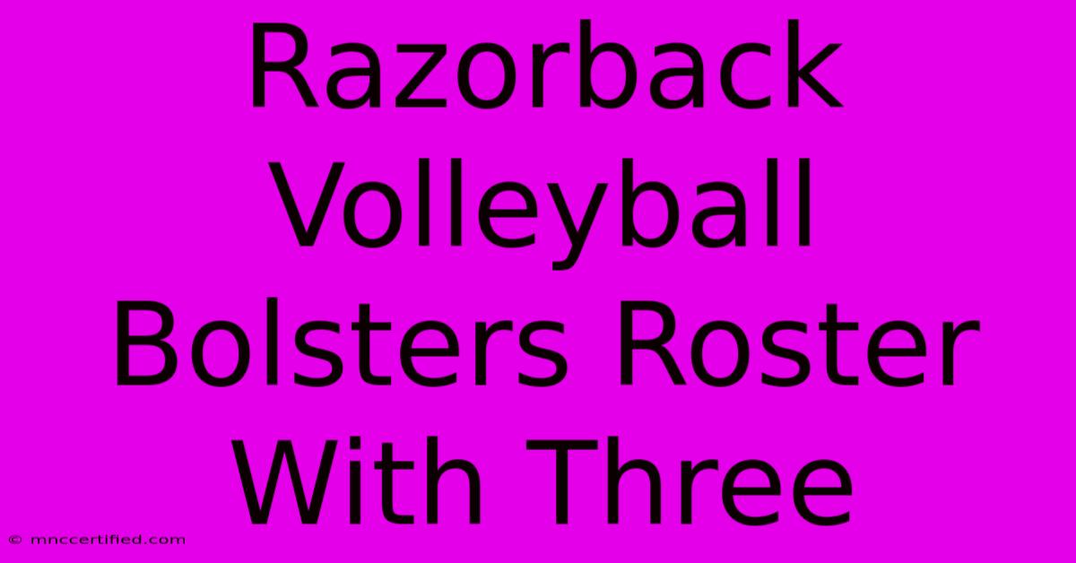 Razorback Volleyball Bolsters Roster With Three  