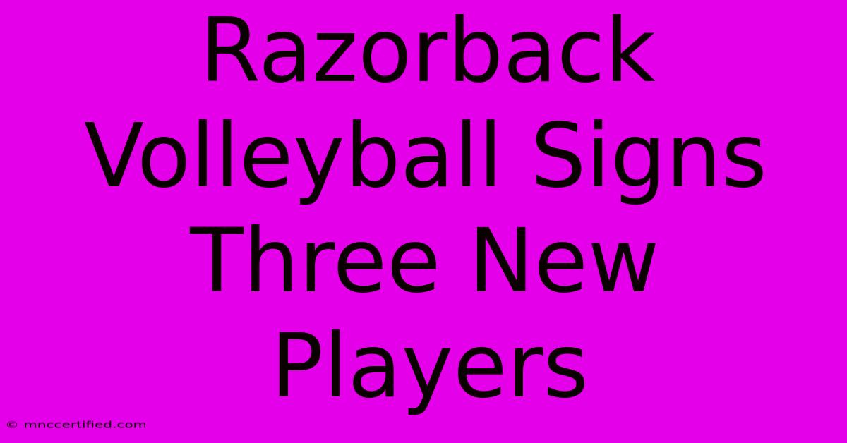 Razorback Volleyball Signs Three New Players