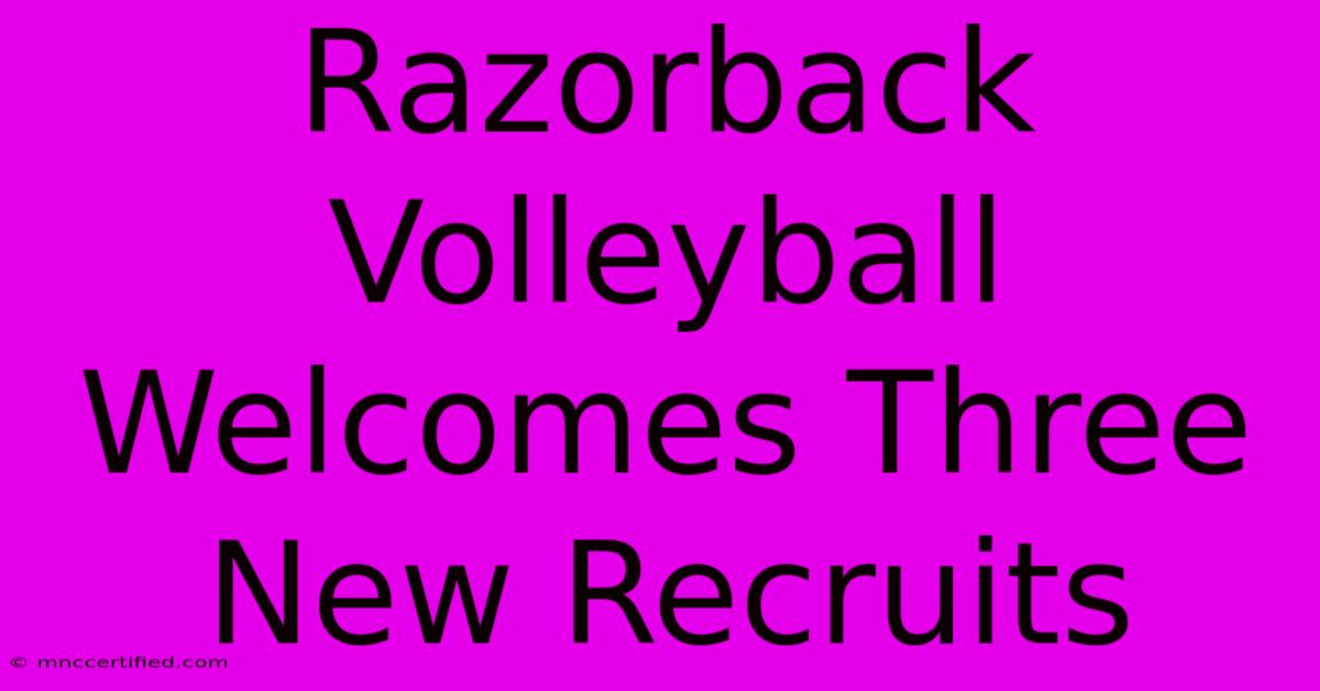 Razorback Volleyball Welcomes Three New Recruits